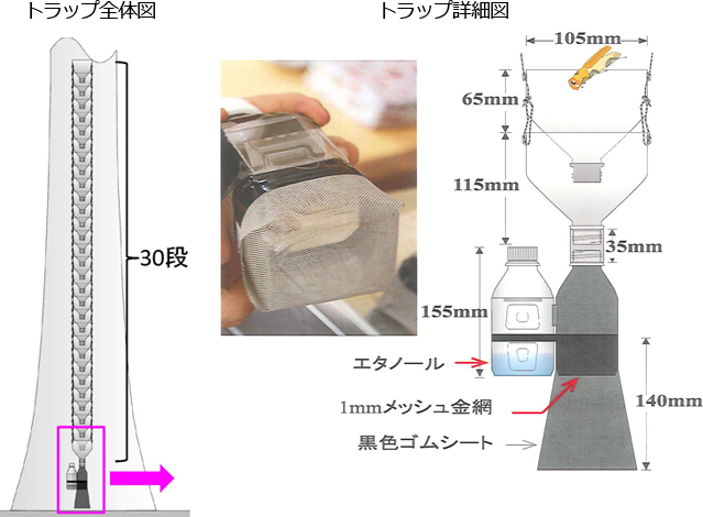 トラップ全体図とトラップ詳細図