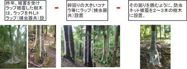 トラップ全体図とトラップ詳細図