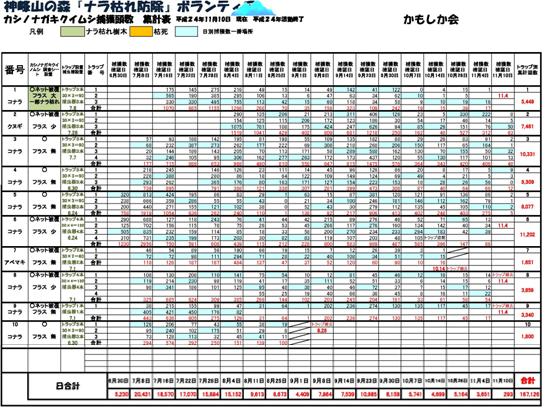 集計表