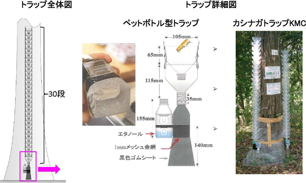 トラップ全体図とトラップ詳細図