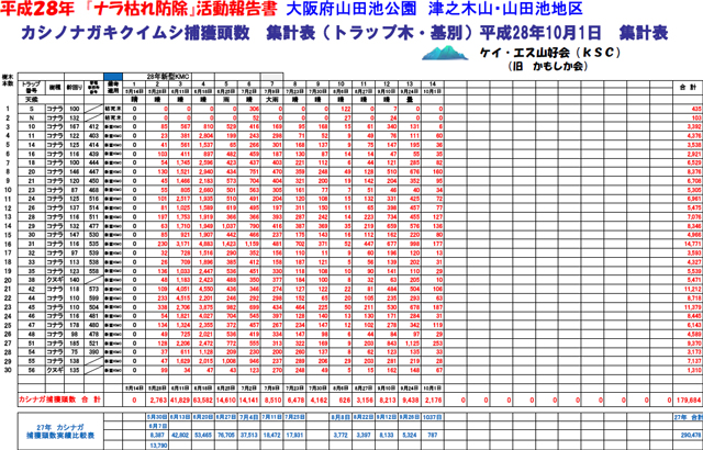 28年：カシナガ捕獲頭数確認表