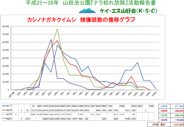 H25～28 捕獲頭数の推移グラフ