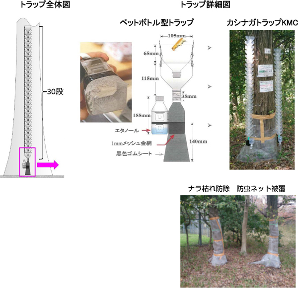 トラップ全体図とトラップ詳細　ナラ枯れ防除　防虫ネット被覆