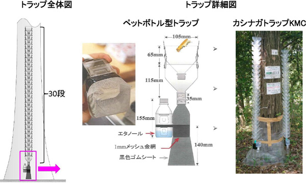 トラップ全体図とトラップ詳細　ナラ枯れ防除　防虫ネット被覆