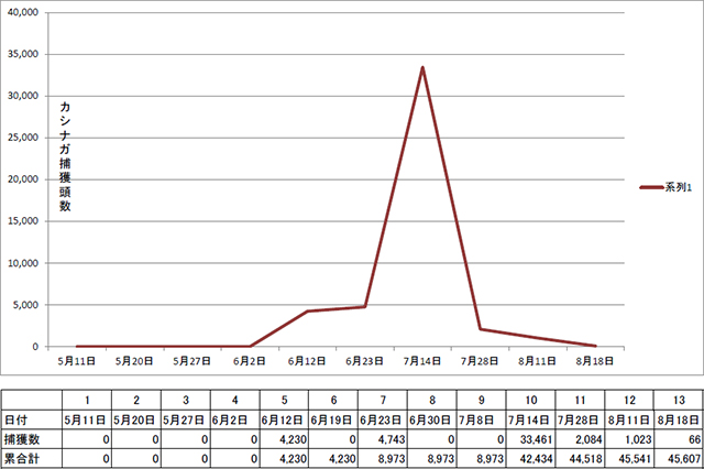 カシノナガキクイムシ捕獲頭数集計（日別）グラフ表