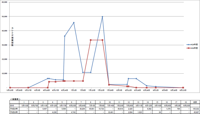カシノナガキクイムシ捕獲頭数集計（日別）グラフ表