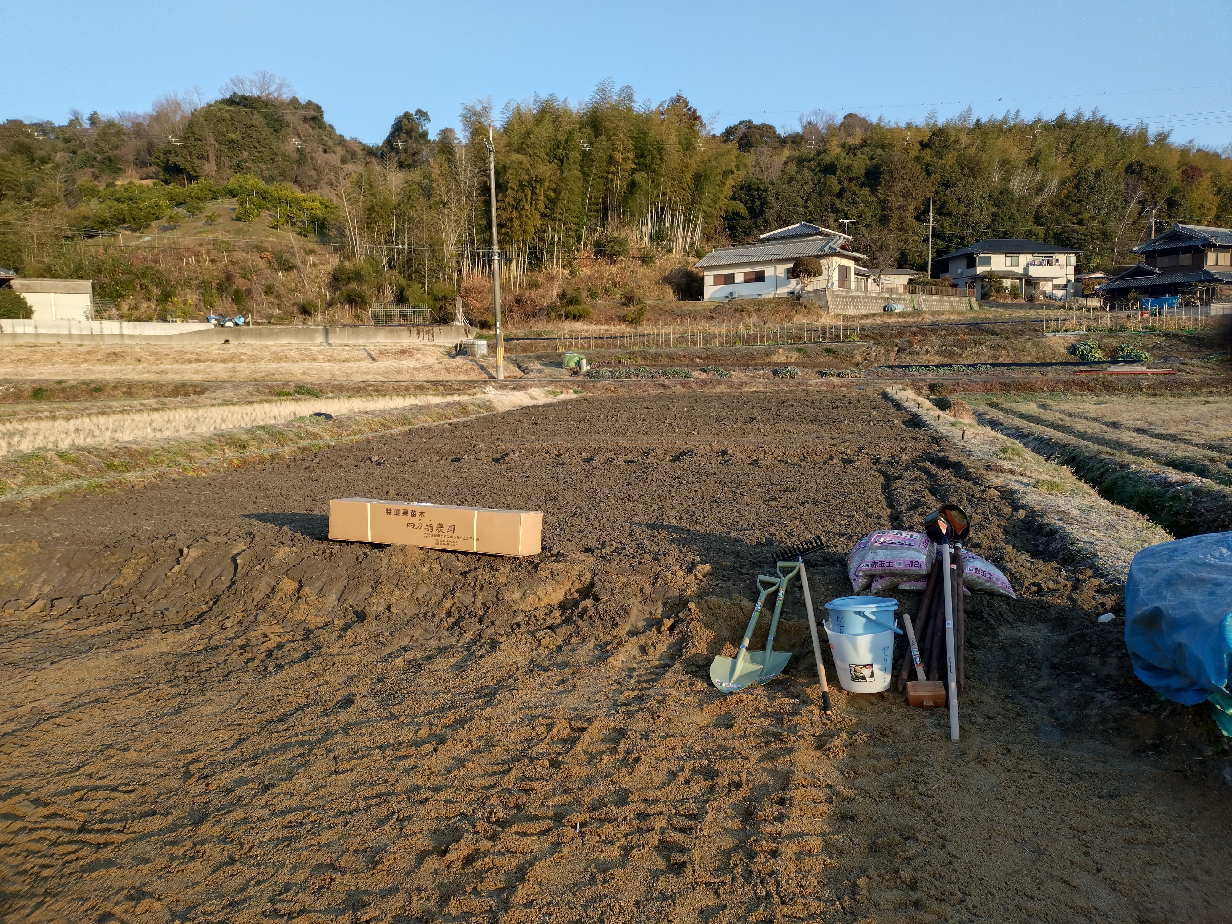 マロンフルーツランドの様子