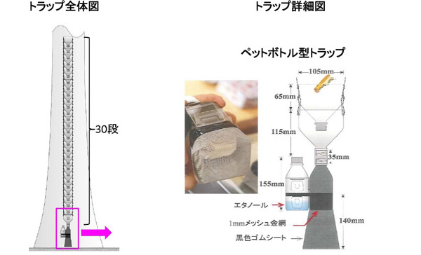 トラップ全体図とトラップ詳細　ナラ枯れ防除　防虫ネット被覆