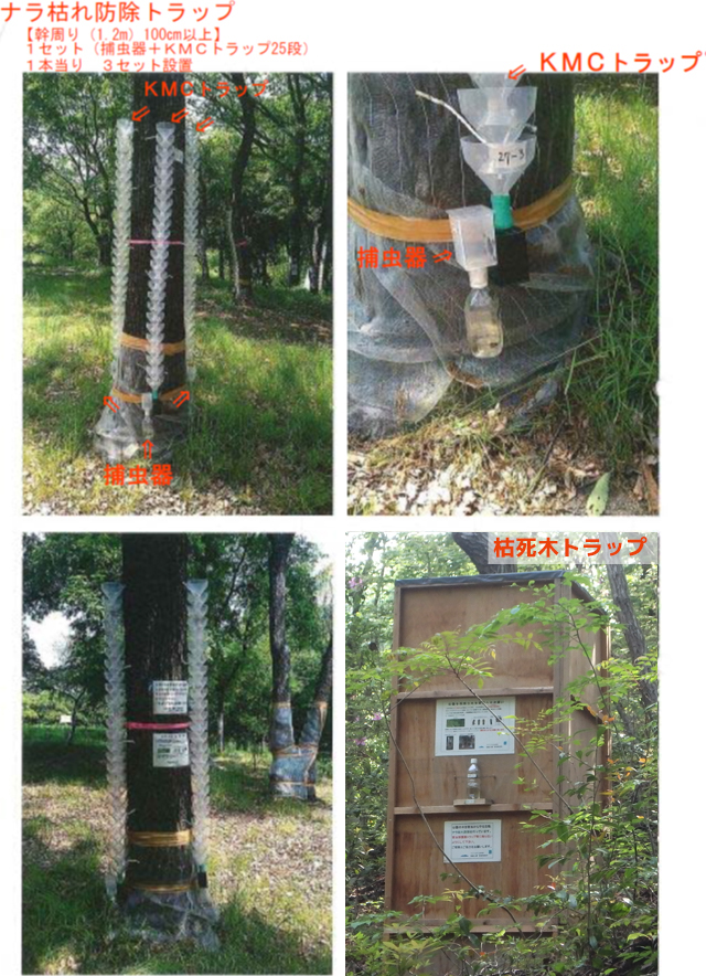 ナラ枯れ防除トラップ
