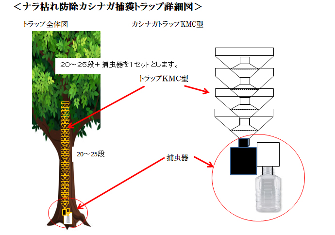 ナラ枯れ防除トラップ