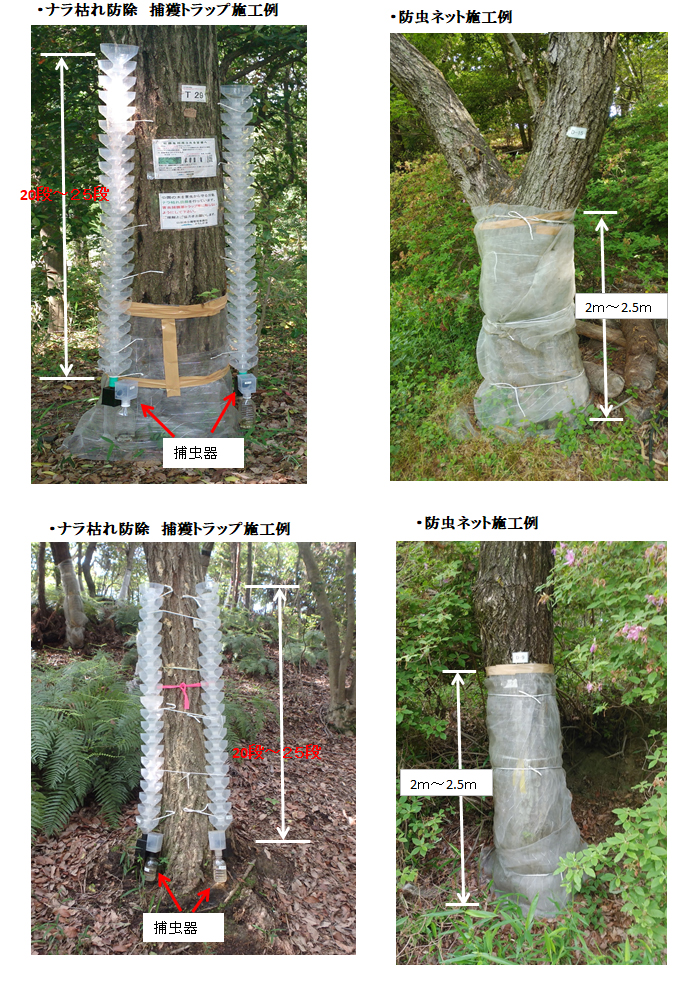 ナラ枯れ防除トラップ