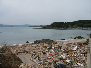 4日目 土留材料の調達をする海岸(南三陸町歌津地区)